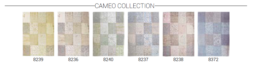 LOUIS DE POORTERE_cameo