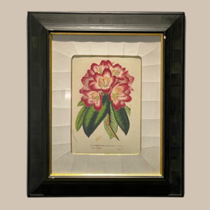 Flower Print From Trowbridge Gallery 2