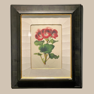 Flower print from Trowbridge Gallery UK