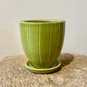 Thin Line Bullet Pot in Lime