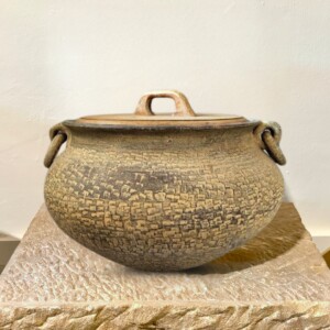 Spitton Designed Rugged Earthern Pot